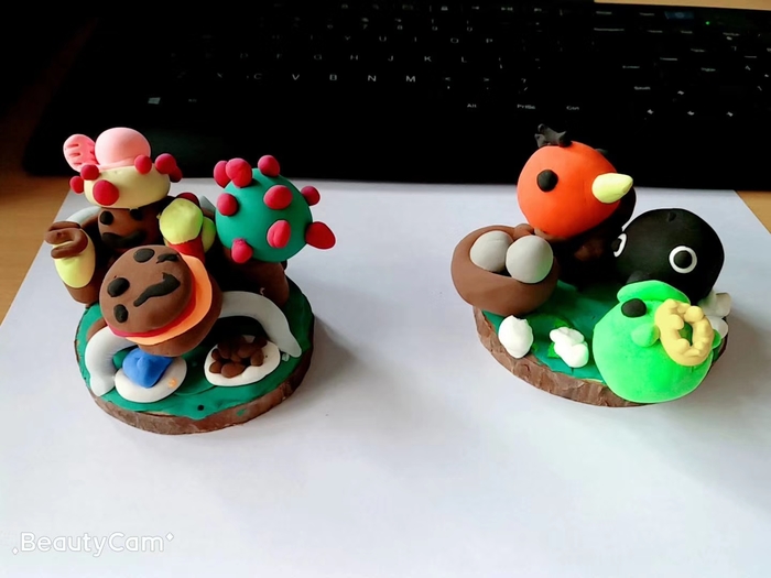 BOB�������޹�˾��(�й�)