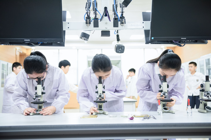 BOB�������޹�˾��(�й�)