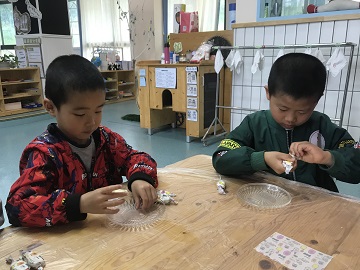 BOB�������޹�˾��(�й�)