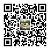 BOB�������޹�˾��(�й�)