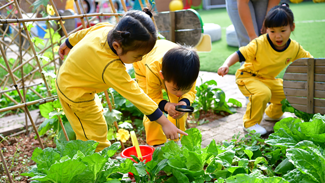 BOB�������޹�˾��(�й�)