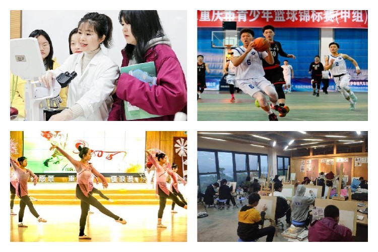 BOB�������޹�˾��(�й�)