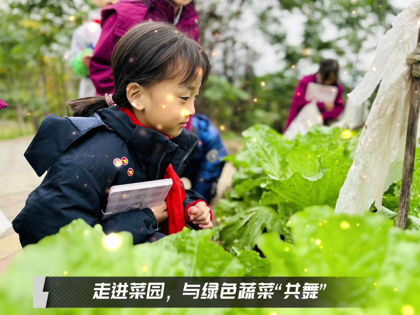 ����ѧУ|��Уʱ�����߳�����������ɫ�߲˹���