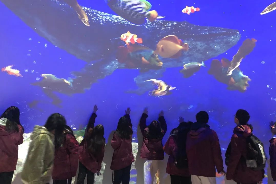 BOB�������޹�˾��(�й�)